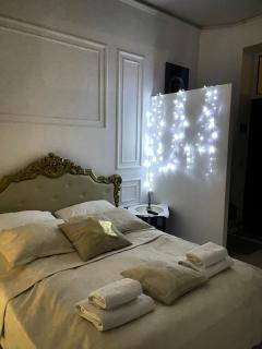 Vintage apartment Kotlyarska10 - Lviv - 2