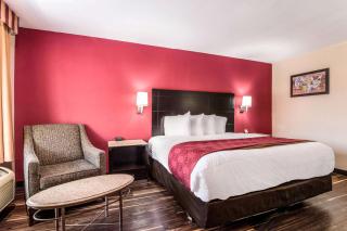 Econo Lodge Pocomoke City Hwy 13 - 5