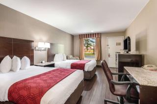 Econo Lodge Pocomoke City Hwy 13 - Pocomoke City - 1