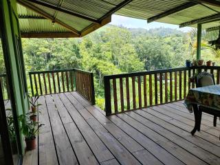 Bella Vista Guest house - Turrialba - 9