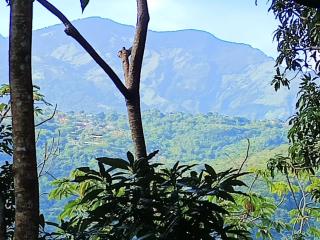 Villa Los Colibrí 10 - - 2