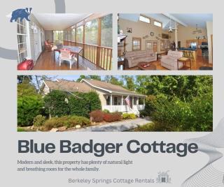 Blue Badger Cottage -Wifi, Fire Pit, Fireplace, Screen Porch, Game Room, King Bed, Grill - Morton Grove - 0