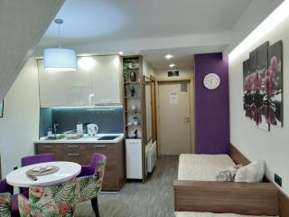 Select Lux Apartments Konaci Kopaonik - Kopaonik - 8