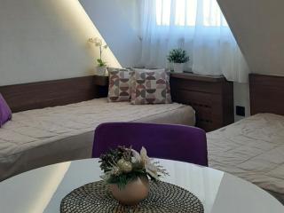 Select Lux Apartments Konaci Kopaonik - Kopaonik - 6
