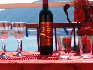 Apartmani M Igalo Herceg Novi - Herceg-Novi - 2