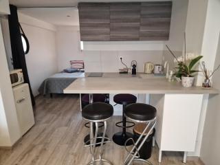 spacieux studio dans le Beaujolais - Saint-Georges-de-Reneins - 8