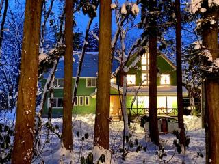 Snow Horizon - Hakuba - 8
