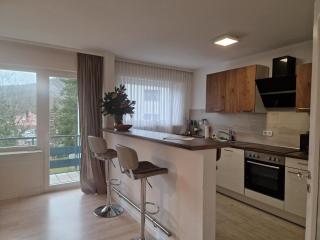 Moscow Areal Suite - Baden-Baden - 6