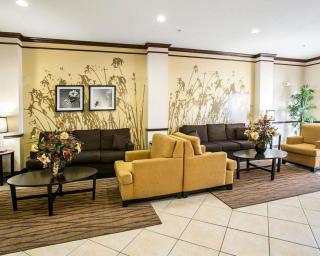 Sleep Inn & Suites New Braunfels - New Braunfels - 1