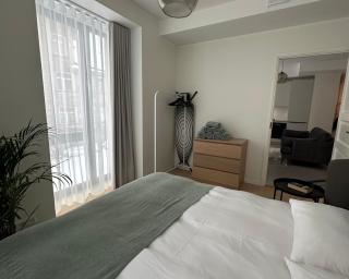 Brand new city centre apartment, free parking spot - 2