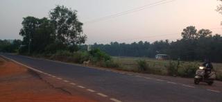 Farmers Corner Homestay Aronda Near Arambol Beach - Corgao - 3