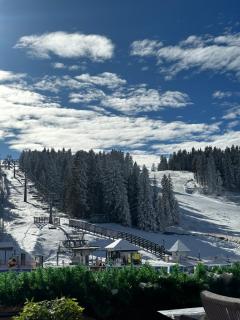 Woodside Lux Duplex - Kopaonik - 6