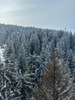 Woodside Lux Duplex - Kopaonik - 9