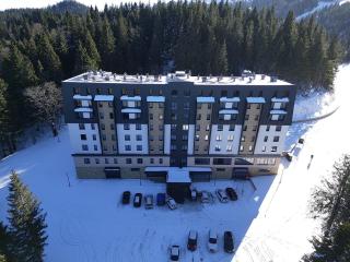 Apartman 305 Zlatni Javor - 2