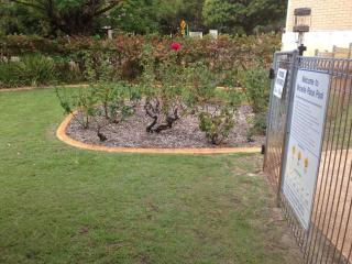 Affordable Inglewood apartment+Pool - Perth - 6