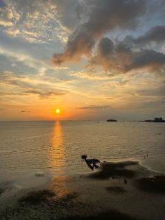 Seaview Paradise Penthouse @PortDickson (1Bedroom) - Port Dickson - 8