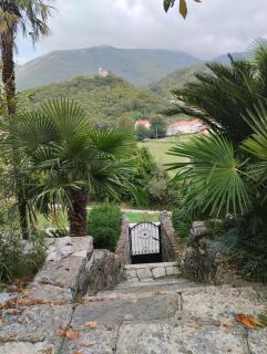 Apartmani Nikica Zelenika - Herceg-Novi - 2