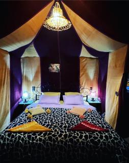 Erg Dunes Camp - Merzouga - 9
