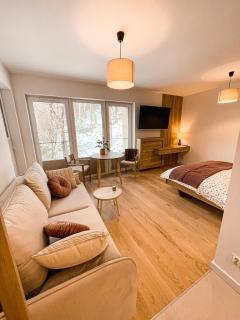 Apartament Cicha 16/ 7A - miejsce parkingowe w garażu - Krynica Zdrój - 6