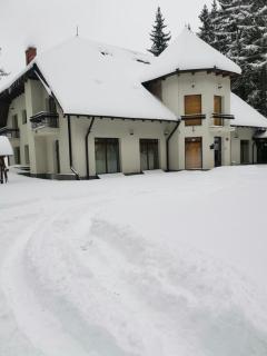 VILA DARIA - Poiana Brasov - 3