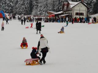 VILA DARIA - Poiana Brasov - 7