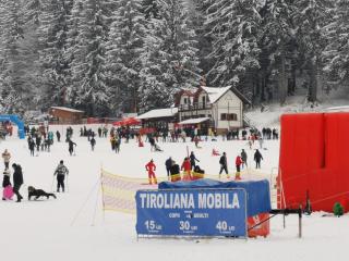 VILA DARIA - Poiana Brasov - 5