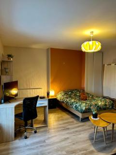 Charmant studio de 50 m2 - Chaumont - 9