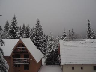 Apartman Duda - Kopaonik - 2