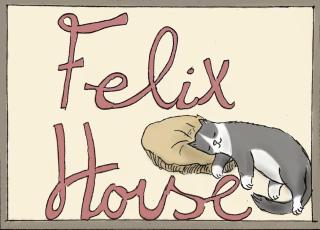 Nuovo apertura - Casa FELIX - Ledro - 7