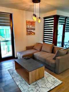 Borovi 3, apartman 3 - Divčibare - 7