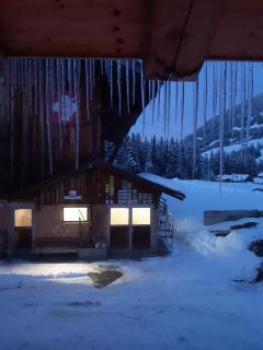 Gässlihof - Gstaad - 3