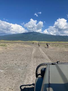 Lake Natron Maasai Guesthouse - Mtowabaga - 3
