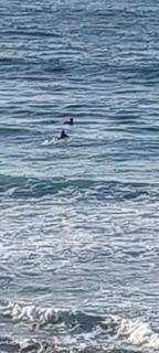 Résidence Fanti - 2