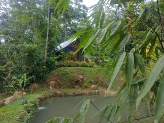 Guapote Lodge - Tigra - 2