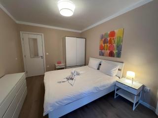 Boston Cozy Elegant Family Apt w Parking Near NSA - 4