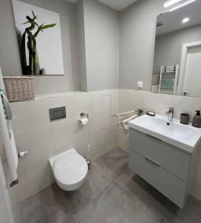 Boston Cozy Elegant Family Apt w Parking Near NSA - 1