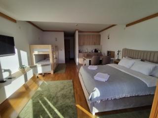 Apartman 452 sa pogledom na stazu Hotel Vučko private host - Jahorina - 3