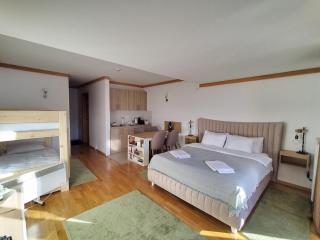 Apartman 452 sa pogledom na stazu Hotel Vučko private host - Jahorina - 2