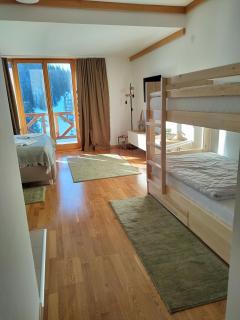 Apartman 452 sa pogledom na stazu Hotel Vučko private host - Jahorina - 1