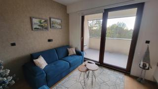 Goldview Studio - Zlatibor - 9