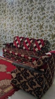 SAPPHIRE GUEST HOUSE On DAILY RENT FOR FAMILIES - Haiderabad - 6