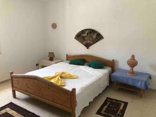Dar Bolte Djerba - Mezraya - 1