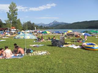 Apartment at the rose garden - 8