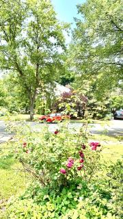 B2 A private room in Naperville downtown with desk and Wi-Fi near everything - Naperville - 5