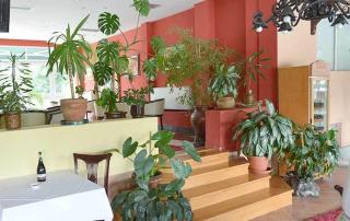 Motel Kneginja - Čačak - 8