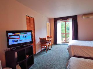 Hotel Alila - Saint-Sauveur-des-Monts - 4