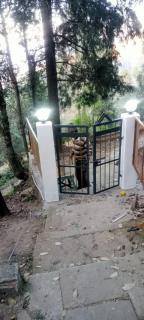 Whispering Deodar Heaven - Rānīkhet - 1