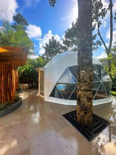 Palo Alto Glamping Hotel - Quesada - 5
