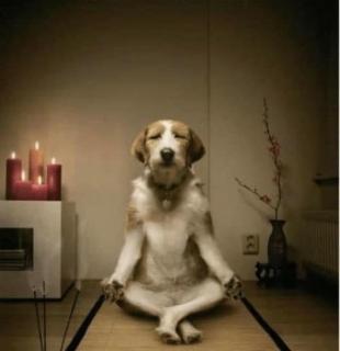 Huge house Your Hunter Valley Wine Staycation ! - Pokolbin - 1