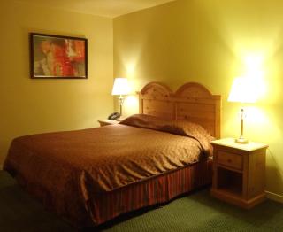 Hotel Alila - Saint-Sauveur-des-Monts - 8